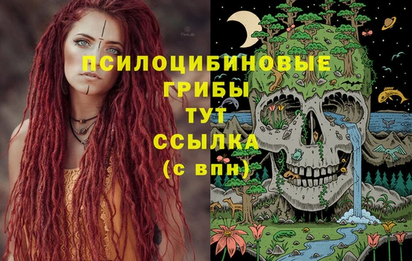 тгк Алексеевка