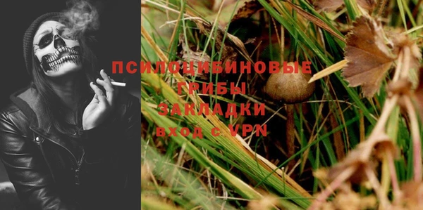 шишки Алексин